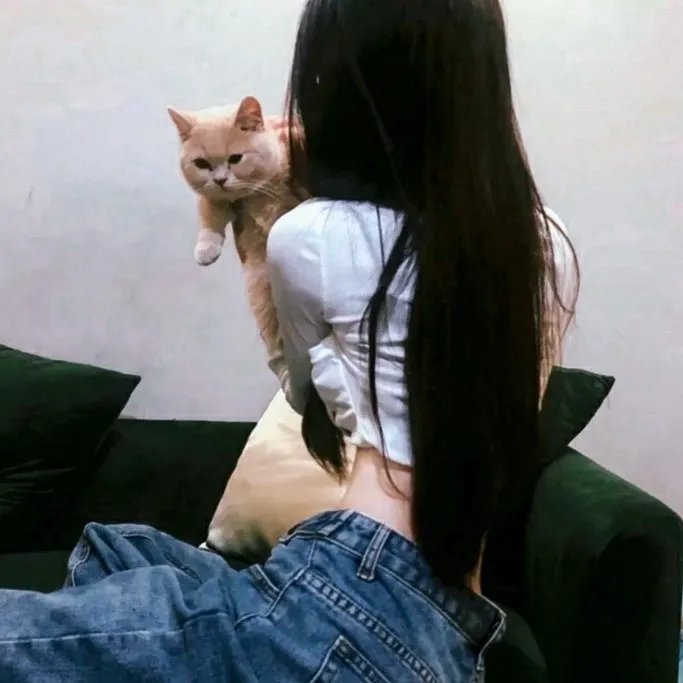 刁蛮娇妻苏小妹